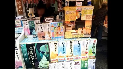 【奇食】築地 鯨の『登美粋』のしらすアイスとくじらアイス