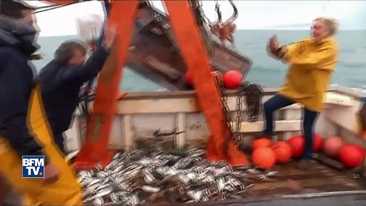 Quand Gilbert Collard lance un poulpe sur Marine Le Pen