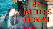 47 METERS DOWN Movie Trailer #1 - Mandy Moore, Claire Holt, Matthew Modine