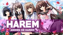 Los Mejores Animes Harem/Ecchi