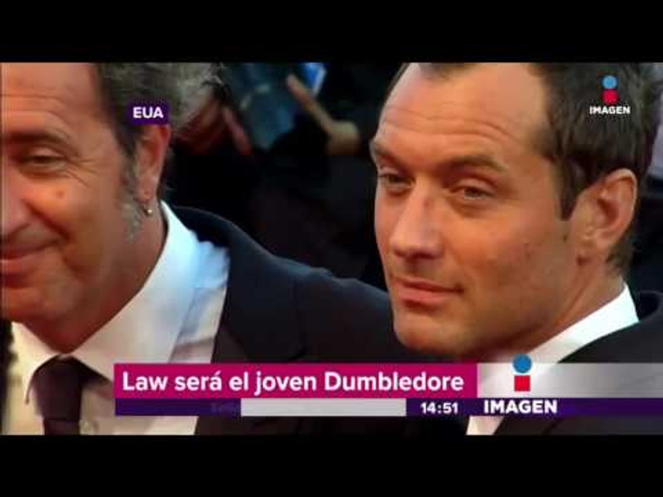 Jude Law será Albus Dumbledore