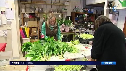 Low cost : comment les compagnies réduisent leurs coûts?