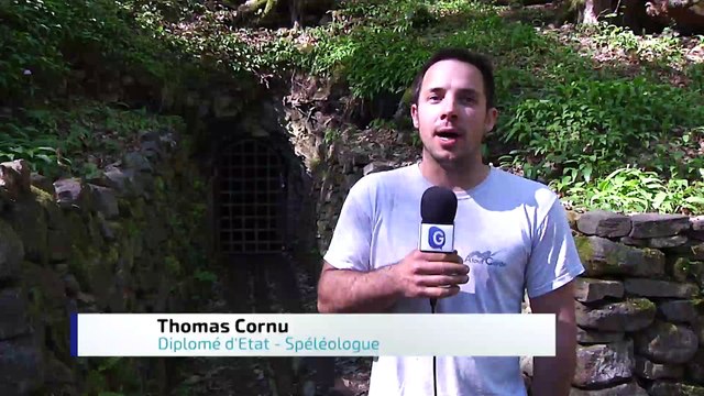 JT Region - Auvergne Rhône-Alpes