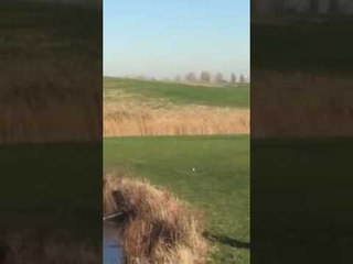 Download Video: Golfer Catches Lucky Break With Frozen Pond