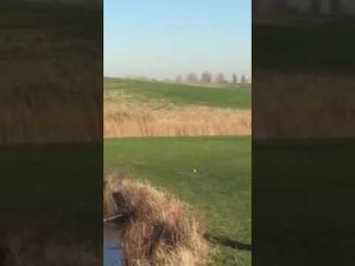 Golfer Catches Lucky Break With Frozen Pond