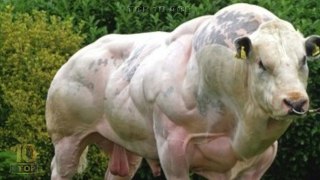 10 Most Shocking Consequences of Steroid Abuse