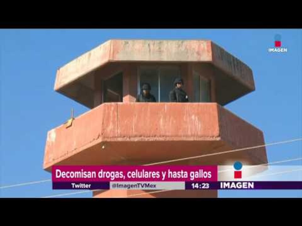 En esta cárcel de México tenían drogas, armas y animales exóticos