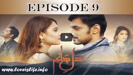 Dil e Jaanam Episode 9 HUM TV 28 April 2017