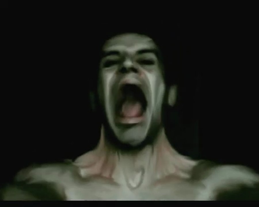 Le Cri ( version 2.1 - autoportrait )
