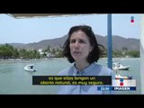 15 mujeres abortaron en barco que vino a México para hacerlo legal | Imagen Noticias