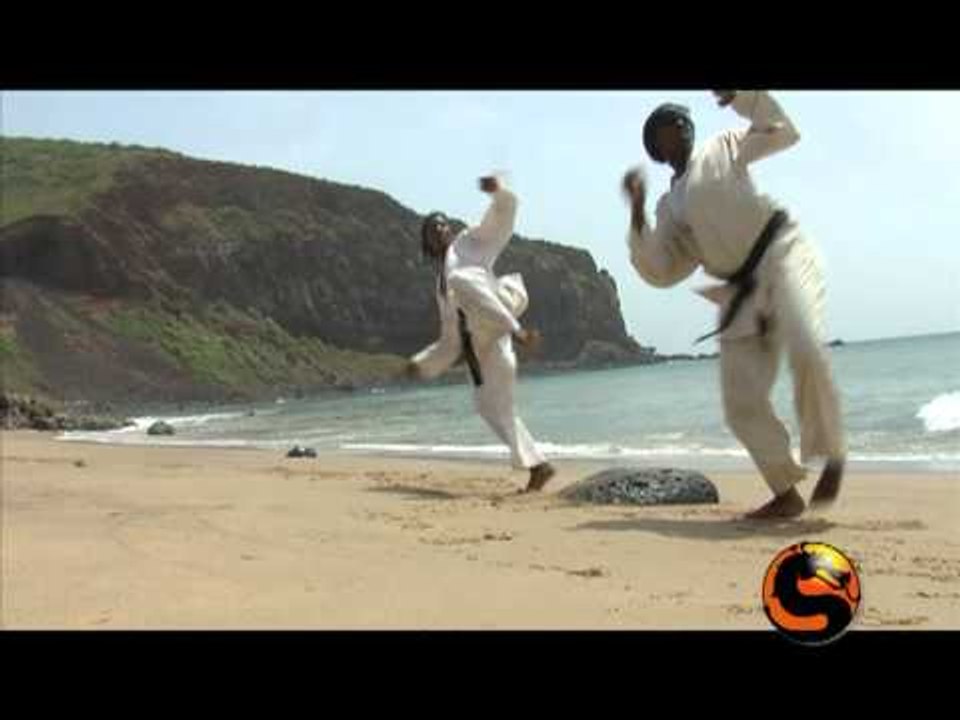 Sensei  - 20 octobre 2011