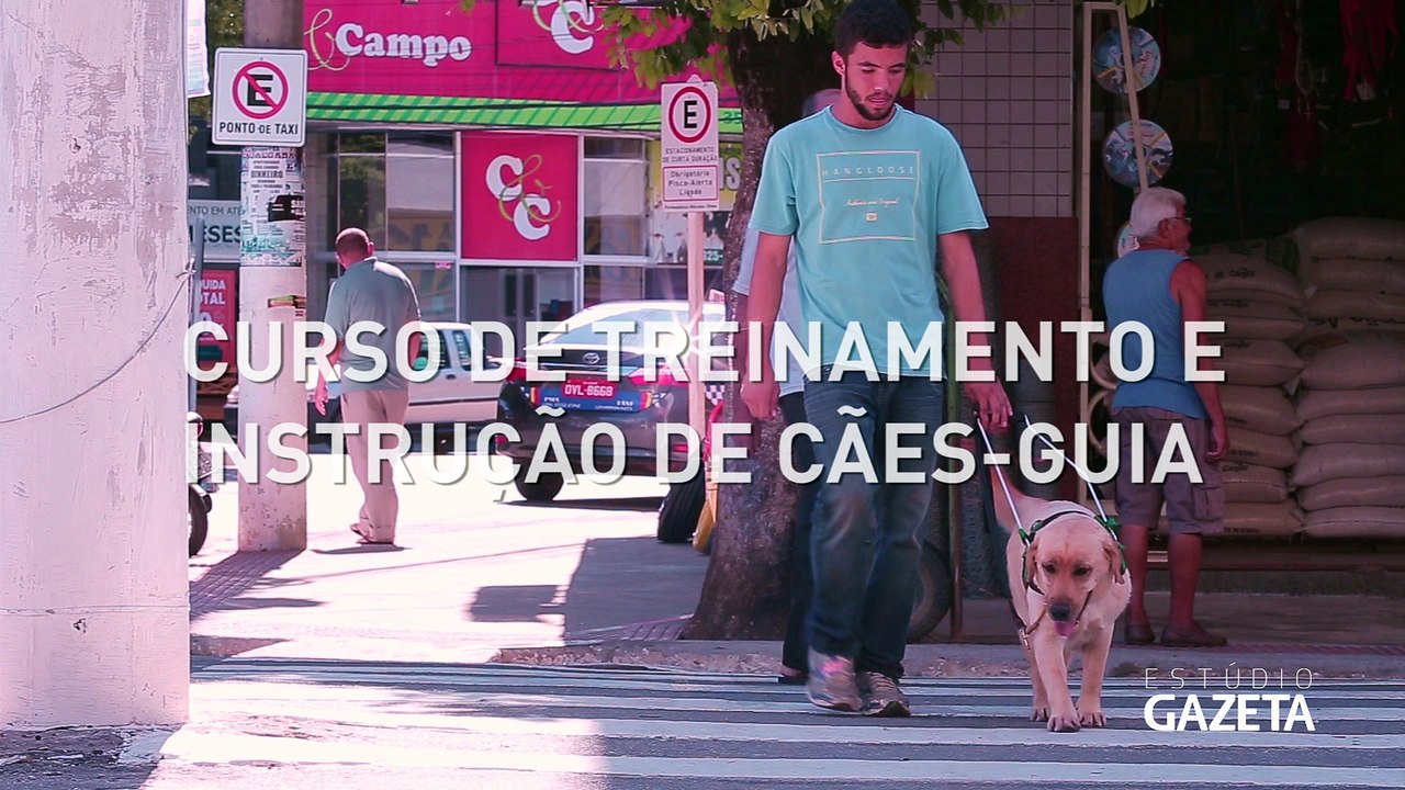 Cão Guia