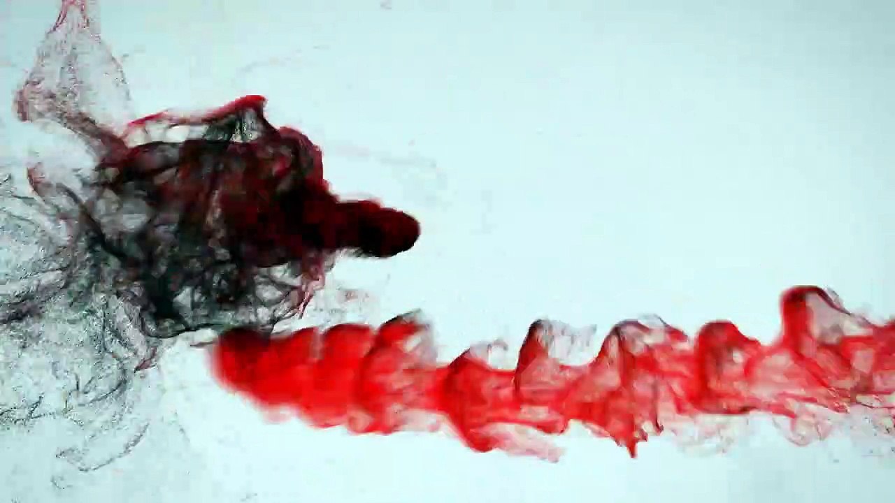 PSEUDOTROPHEUS ACEI YELLOW TAIL AFRICAN CICHLID-A7LCk