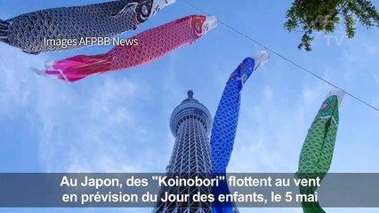 Japon: des carpes au vent pour le Jour des enfants