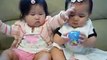 Cute baby girls are fighting for toy | funny cute babies fighting