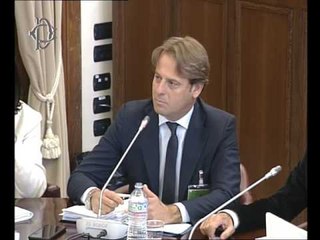 Roma - Audizione Conferenza Regioni (26.04.17)