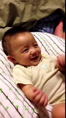 Baby laugh and dog barking - Funny video