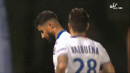 0-2 But de Nabil Fekir - Angers SCO 0-2 Olympique Lyon - 28.04.2017 [HD]