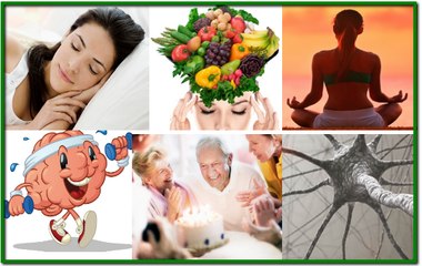 The Great Brain Secret review