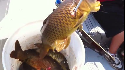Ok ile Balık Avı İNANILMAZ - Bowfishing AMAZİNG
