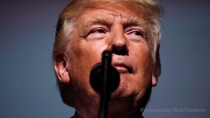President Trump Went After Elizabeth Warren