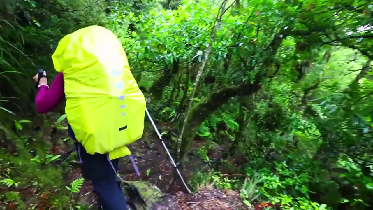 8 Vídeos Malucos e Horríveis Capturados em Câmeras GoPro