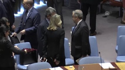 BM Güvenlik Konseyinde "Kuzey Kore" Toplantısı - New