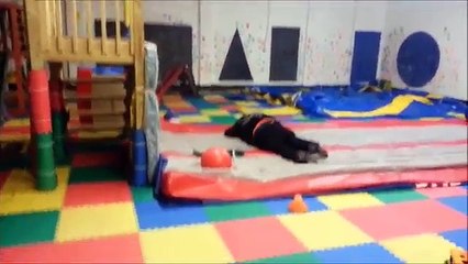 Fails of the Week - APRIL 2017 - WEEK 2 | Funny Fail Compilation