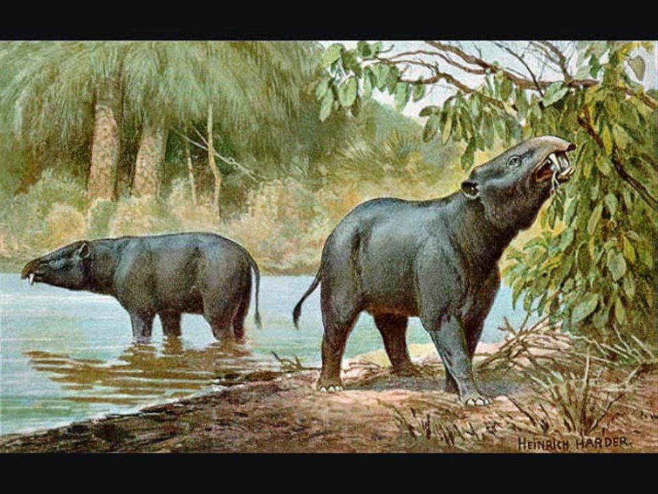 [MP4 480p] Top 10 Most Dangerous Prehistoric Animals (NO DINOSAURS)