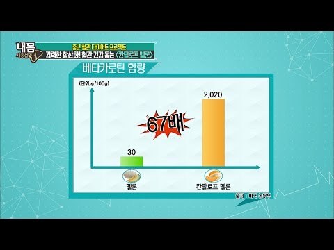 그냥 멜론은 저리가라! 칸탈로프 멜론을 먹자 [내 몸 사용설명서] 121회 20160923