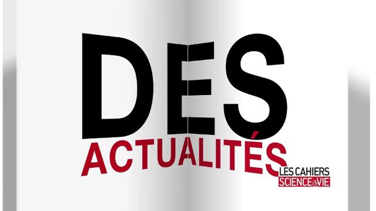 Découvrez quelques pages des Cahiers de S&V : L'alchimie