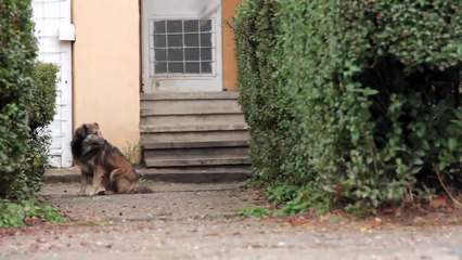 Quelque chose d'extraordinaire