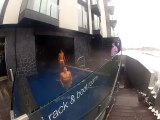 Fou! Les jeunes jouent dans la neige maillots de bain seulement.   Jovens se jogando na neve só de roupa de banho.