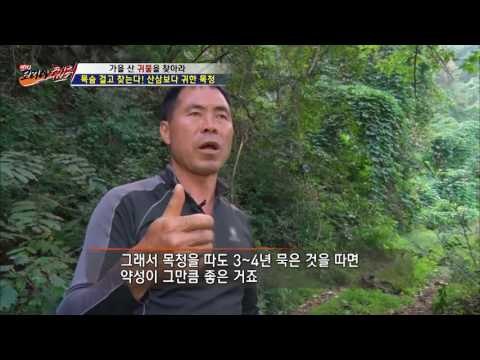 산삼보다 귀한 숙성 된 목청! [뉴 코리아 헌터] 16회 20160921