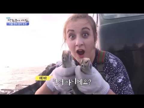 에바의 가을 전어 잡이 도전! [광화문의 아침] 321회 20160922