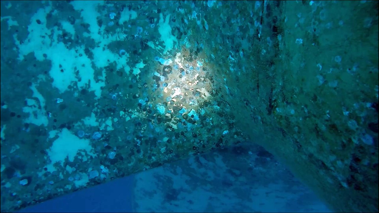 Propeller (Video 1 of 2)