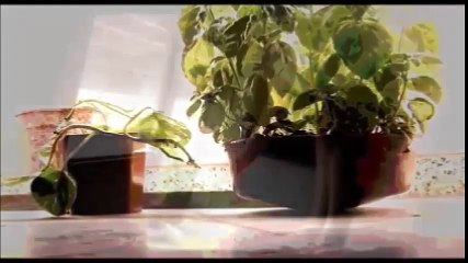 Pausa - Cortometraje