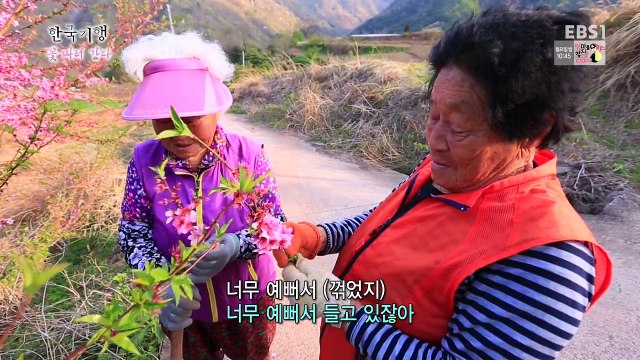 한국기행.170427.꽃 따러 간다 4부 우리들의 봄날