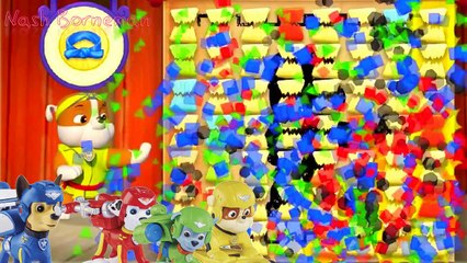 Paw Patrol Pup. Kung Fu Color Match and paw patrol toys