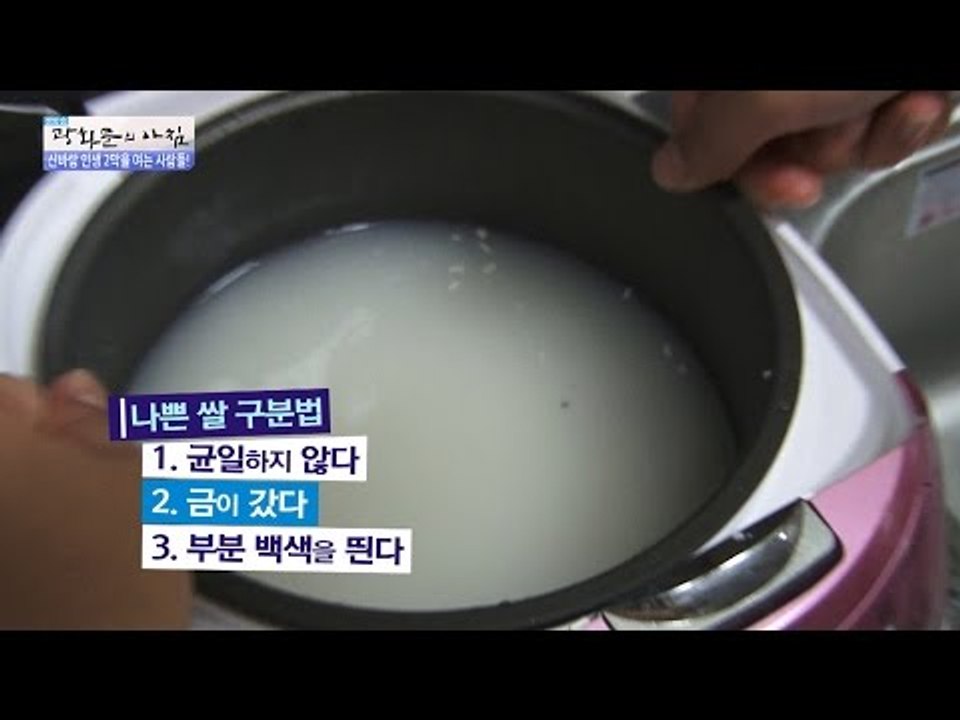 좋은 쌀과 나쁜 쌀 구분법! [광화문의 아침] 319회 20160920