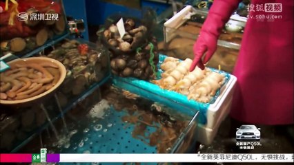 钟汉良 《极速前进》 The Amazing Race China 09韩国首尔哇精华