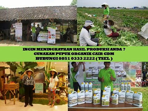 0851 0333 2222 (Tsel) Pupuk Organik Surabaya