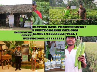 TELP. 0851 0333 2222 (TSEL) Obat Tanaman Kopi