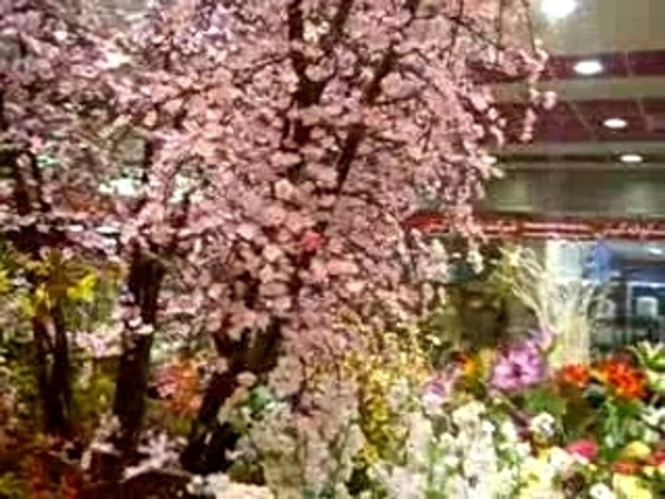 Beautiful garden