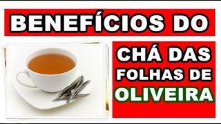 Benefícios do Chá das Folhas de Oliveira para saúde