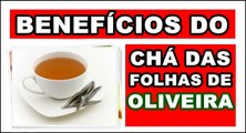 Benefícios do Chá das Folhas de Oliveira para saúde