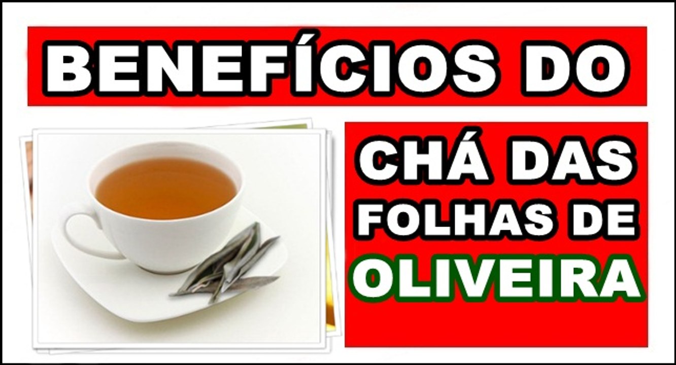 Benefícios do Chá das Folhas de Oliveira para saúde