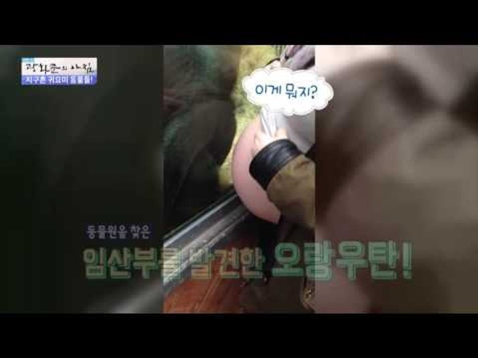 카푸치노를 즐겨 마시는 경찰견 등장! [광화문의 아침] 317회 20160919