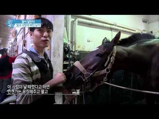 말과 사랑에 빠진 남자! [그들이 사는 세상] 11회 20160918