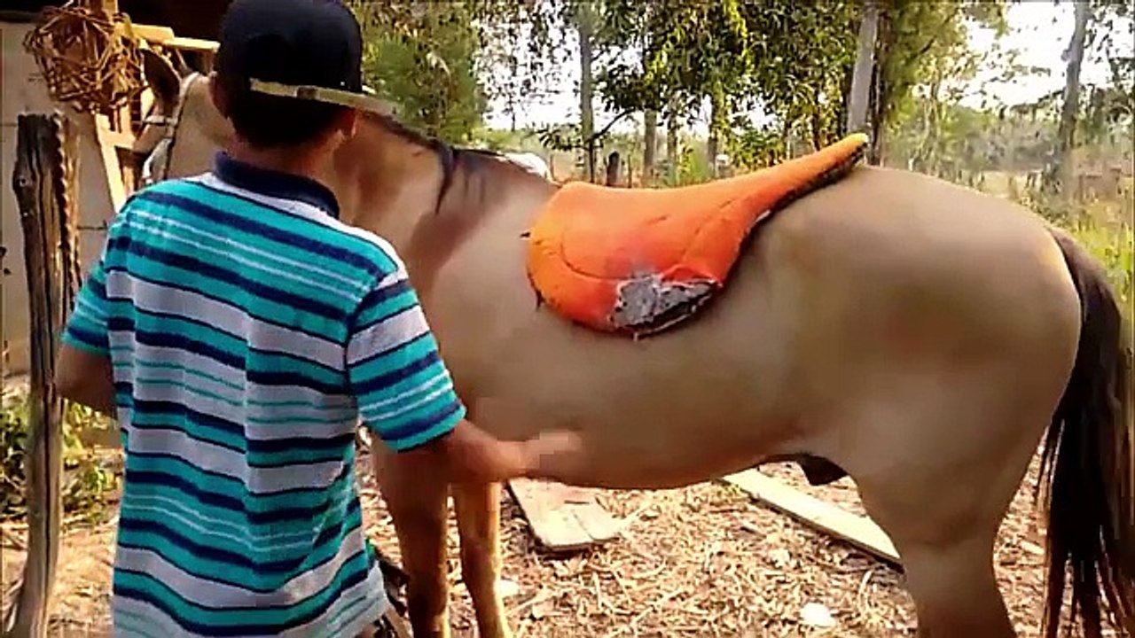 As lowering a wagon horse
